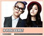 apinkbeast