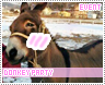 donkeyparty